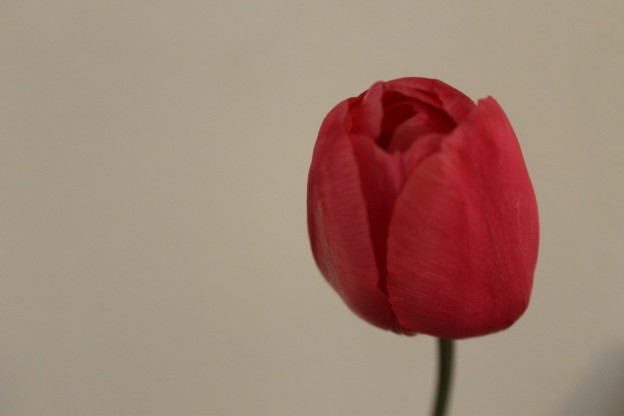fleurs artificielles
